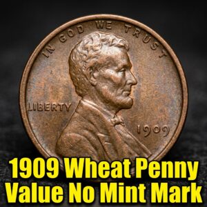1909 Wheat Penny Value No Mint Mark What It's Really Worth