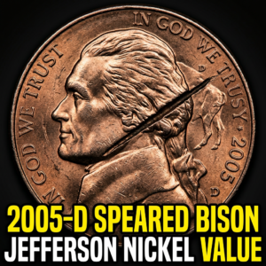 2005-D Speared Bison Jefferson Nickel Value — What This Error Coin Is Really Worth
